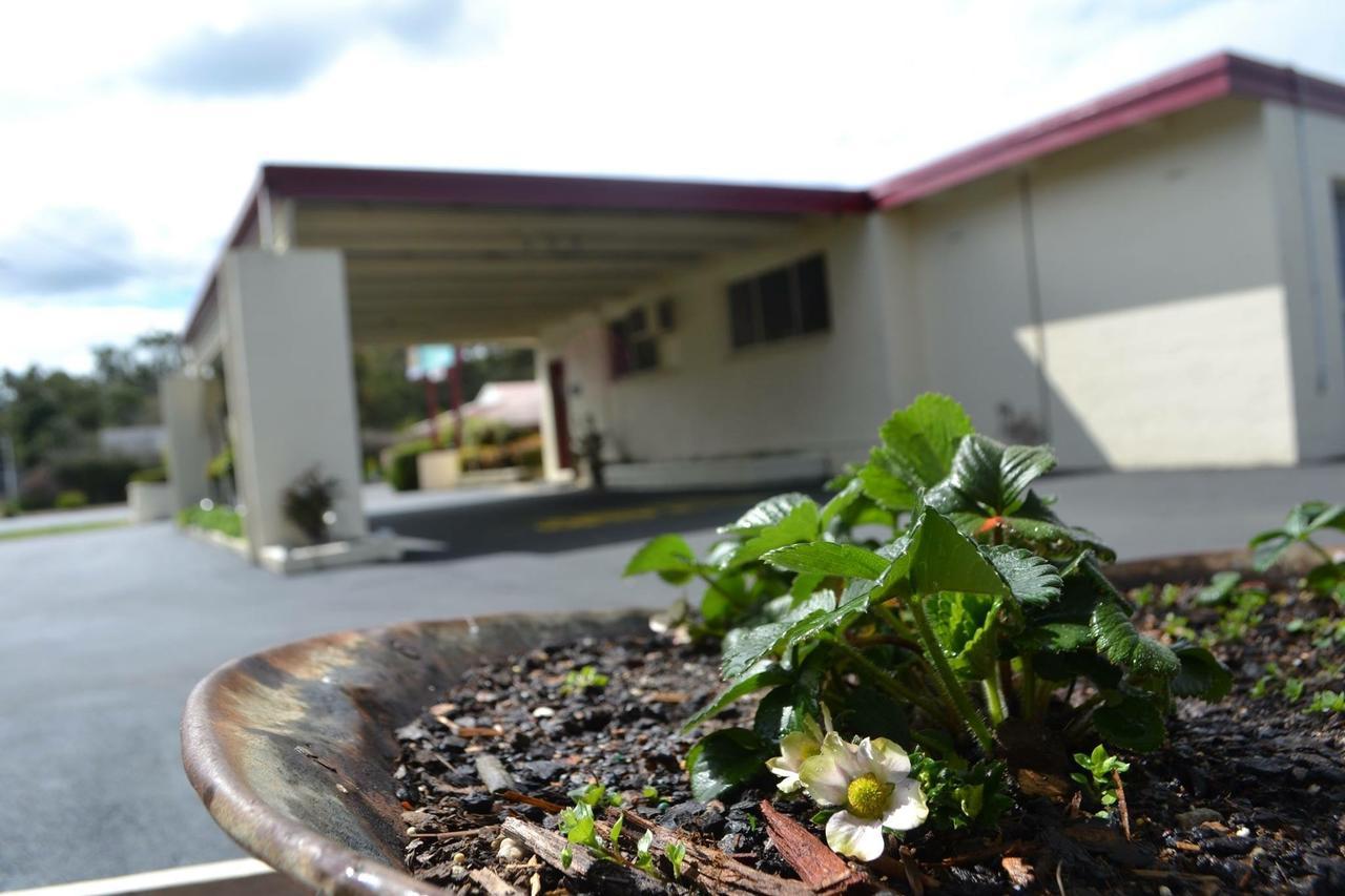 Wattle Motel Seymour Exterior foto